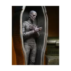 Neca Universal Monsters Ultimate The Mummy Accessory Pack -Negozio Di Giocattoli neca universal monsters ultimate the mummy accessory pack 6