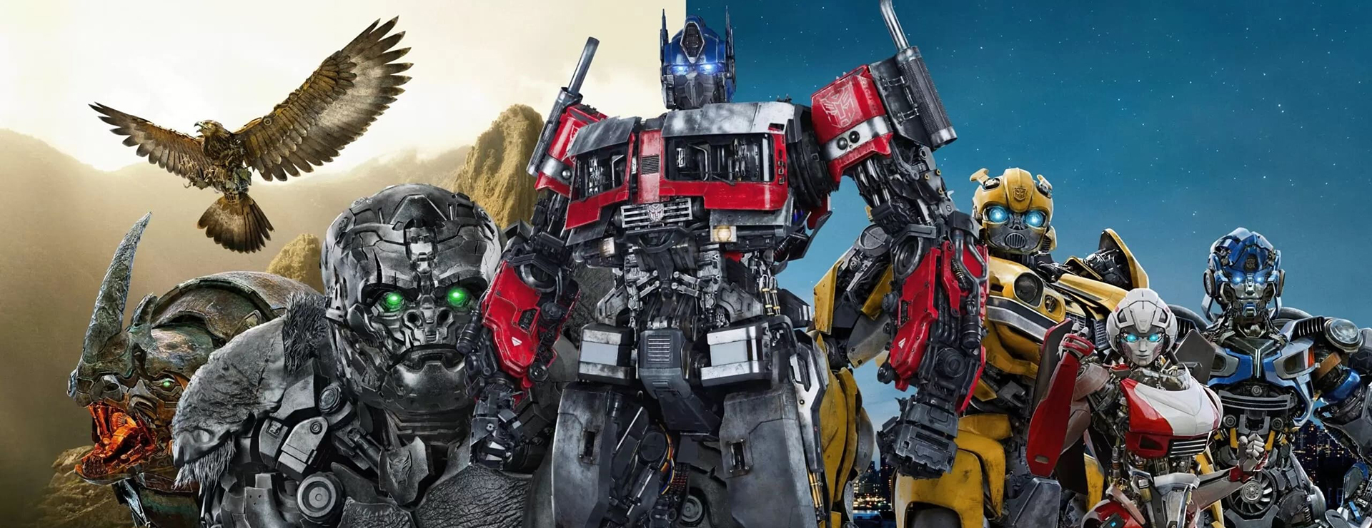 Negozio Di Giocattoli -Negozio Di Giocattoli